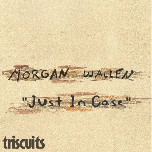 MORGAN WALLEN x Heggemann - Just in Case (Triscuits 'What Is Love' Bootleg)