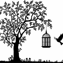 The Crow And The Dove
