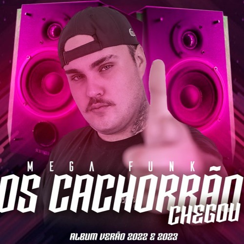 MEGA FUNK OS CACHORRÃO CHEGOU DJ LAYRTON SC