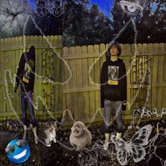 da 303 (prod mag n cranes)
