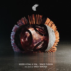 Sezer Uysal & VIIA  - Space Fusion (Original Mix)