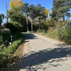 Short Autumn Stories