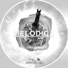 See The Light (Original Mix)