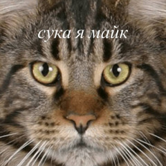 6SAMARA3FR3ST4L3
