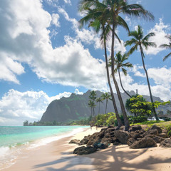 DEEPSEA FOREVER YOUNG Lucas if Tran Duc