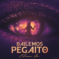 CHEMV JM - BAILEMOS PEGAITO(dj gonza y jesus g dj remix 2025)