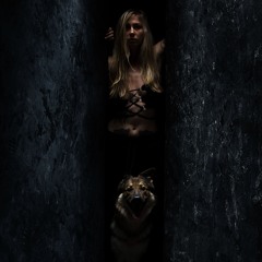 ThisTooShallPass [WIP]