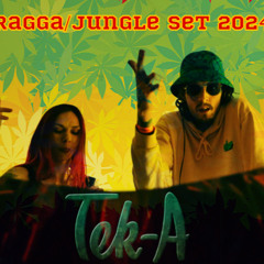 Tek-A - Ragga/Jungle Set 2024