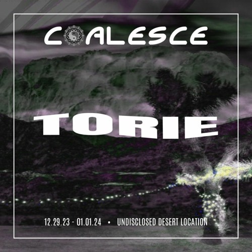 Torie Live @ Coalesce New Years 2024 at The Barrel