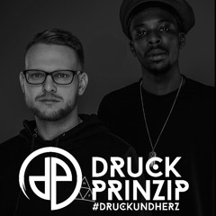 Druckprinzip Podcast #007 x Spicy Flamingo b2b Diskonnected