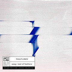 Faultlines E28 - wasp: nest of feathers