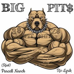 Big Pit$ - Riot & Ro Lyrik