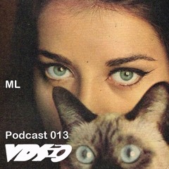 VDS Podcast Nr.013 w/ ML