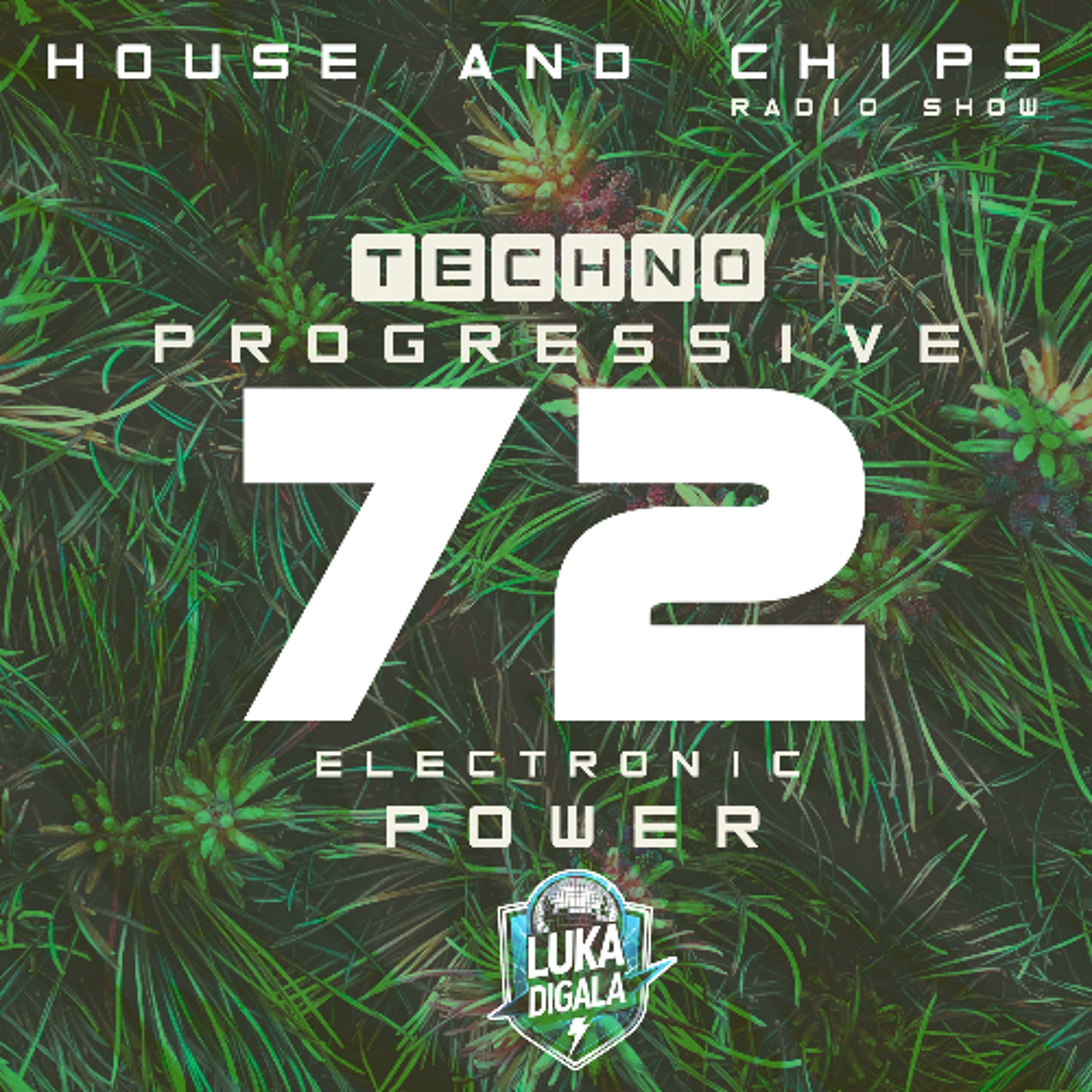 House and Chips Radio Show