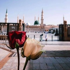 وَلَعَ الحُبُّ بِقلبي