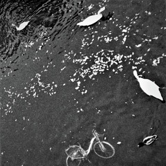 EuDantes e Nelsu - O Cisne Branco de Kreuzberg