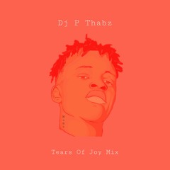 Dj P Thabz Tears Of Joy Mix.mp3
