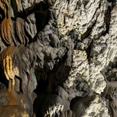 Morgan Page & Stadiumx - Fever (feat. Salena Mastroianni) [soesai Garage Edit] - FREE DOWNLOAD