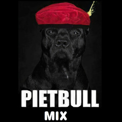 Pietbull mix  5-12-2025