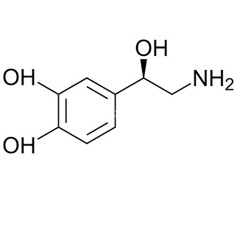 noradrenaline