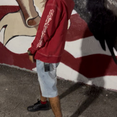 Ginarmous V2 (prod.Astro)