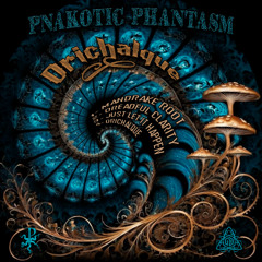 04- Pnakotic Phantasm - Orichalque 155bpm