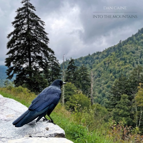 Flight Of The Crow