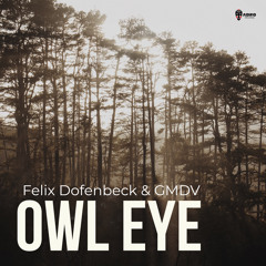 Felix Dofenbeck, GMDV - Owl Eye