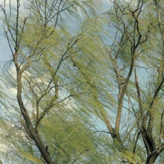 улетел demo freestyle_1 (prod. LNLYCUTE)