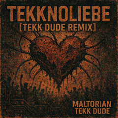 Tekknoliebe [TEKK DUDE REMIX]
