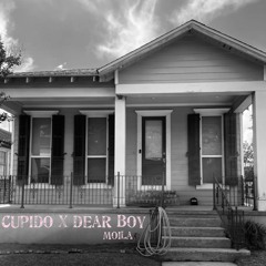 Cupido X Dear Boy