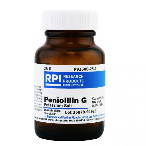 shame (listen to june gloom)