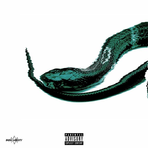 SNAKEBIT (prod. RYEN)