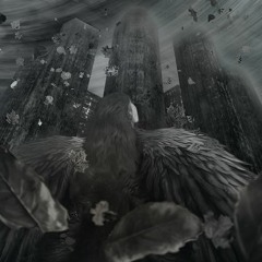 Proximal Cause - Canyon (snip)