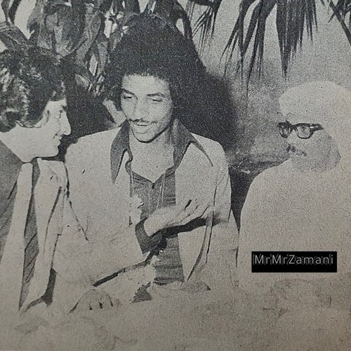 مالي في الطيّب نصيب