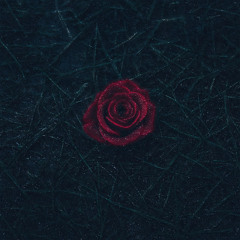 Last Song