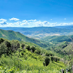 ICON OF SIN (feat. Blacklungs)