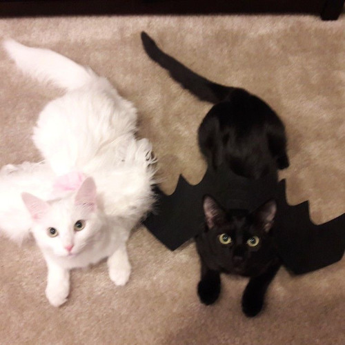 take it to the grave