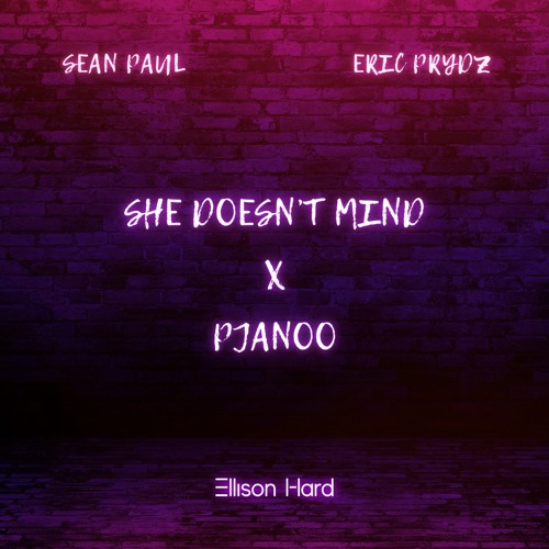 She Doesn't Mind X Pjanoo (Ellison Hard Mashup) - Sean Paul X Eric Prydz (FREE DL)