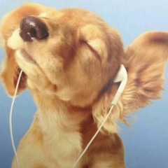 lifeofski3sohappi.m4a