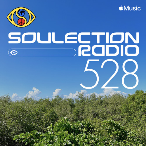 Stream Soulection Radio Show #528 by SOULECTION | Listen online for free on  SoundCloud