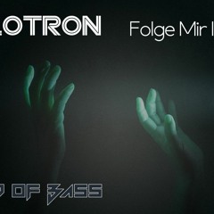 Melotron - Folge Mir Ins Licht (Lord Of Bass Remix)
