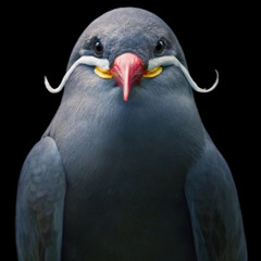 Nonstop - Thành Phố Đất Mỏ (Hưởng) Vol2 - DJ Xuân KongChúa