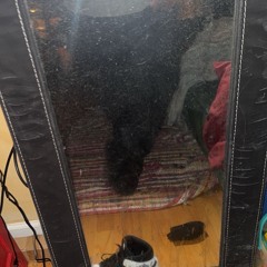 Rokk (rckstr, duoface).wav