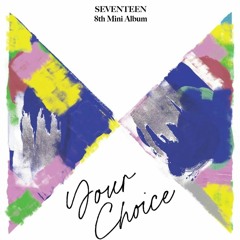 [Full Album] SEVENTEEN (세븐틴) - Your Choice