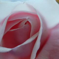 picture this - 1:28:22, 3.55 PM