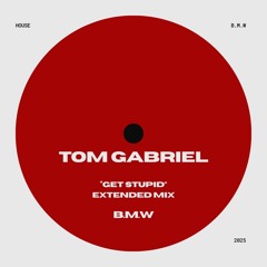 Get Stupid(Extended Mix)