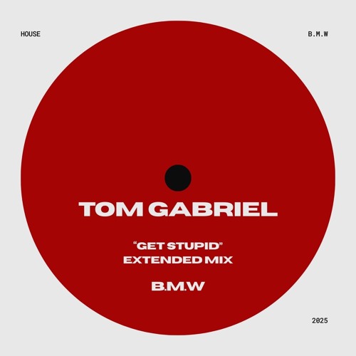 Get Stupid(Extended Mix)
