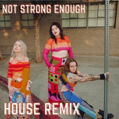 Not Strong Enough- House Remix!