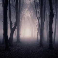 The Void 46